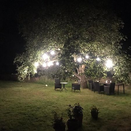 Redbrook Farm Bnb - Gateway To The New Forest 福丁布里奇 外观 照片
