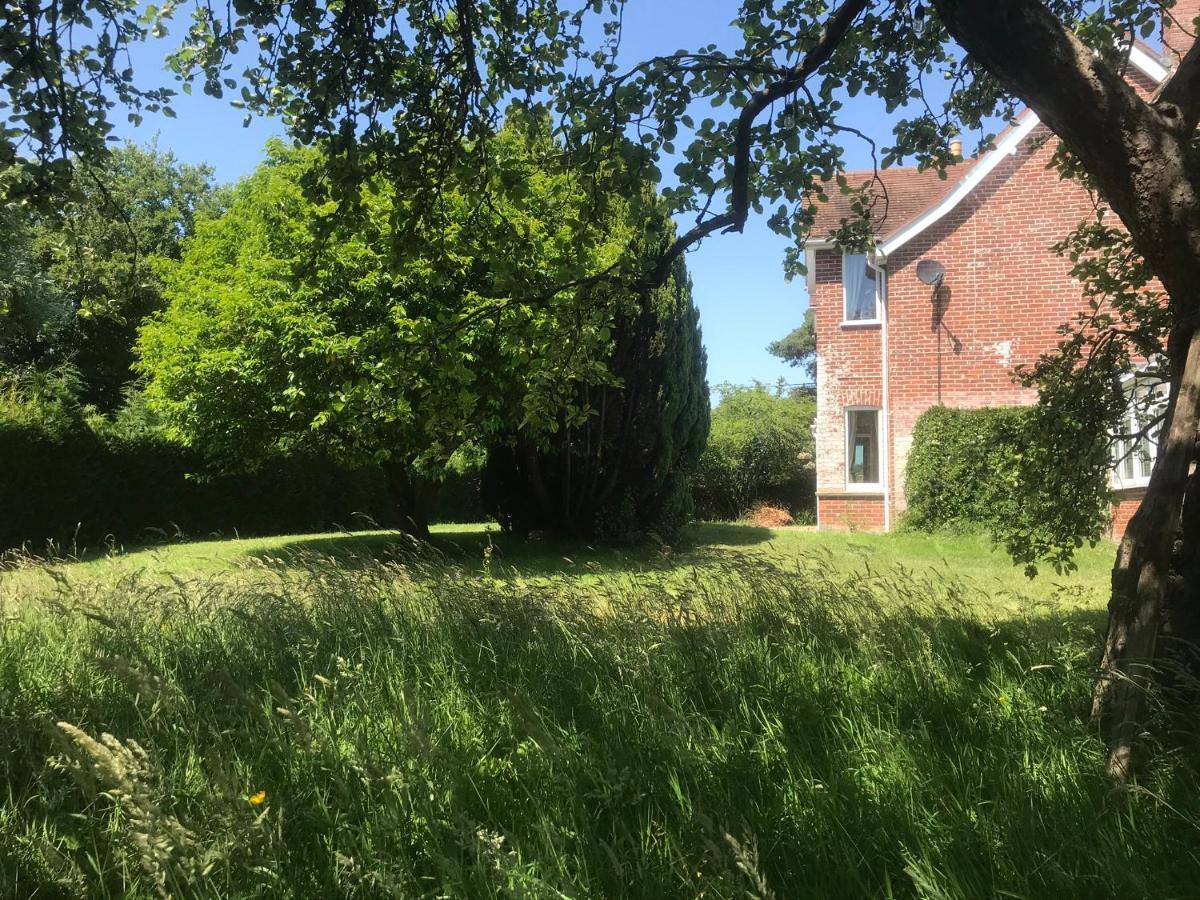 Redbrook Farm Bnb - Gateway To The New Forest 福丁布里奇 外观 照片