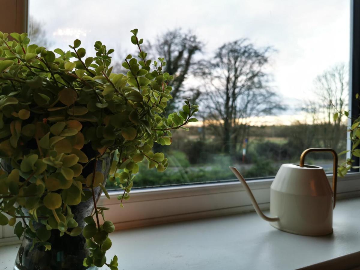 Redbrook Farm Bnb - Gateway To The New Forest 福丁布里奇 外观 照片