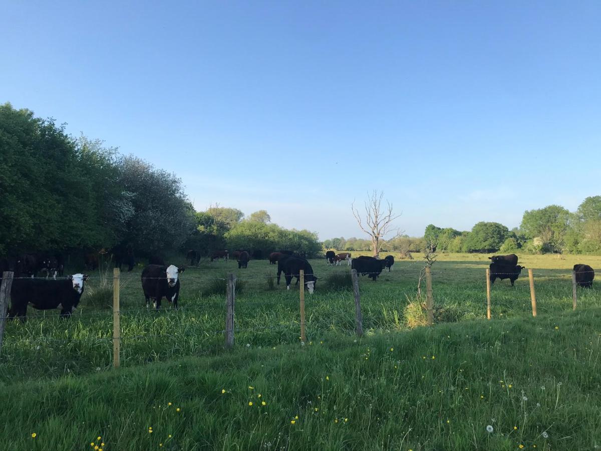 Redbrook Farm Bnb - Gateway To The New Forest 福丁布里奇 外观 照片