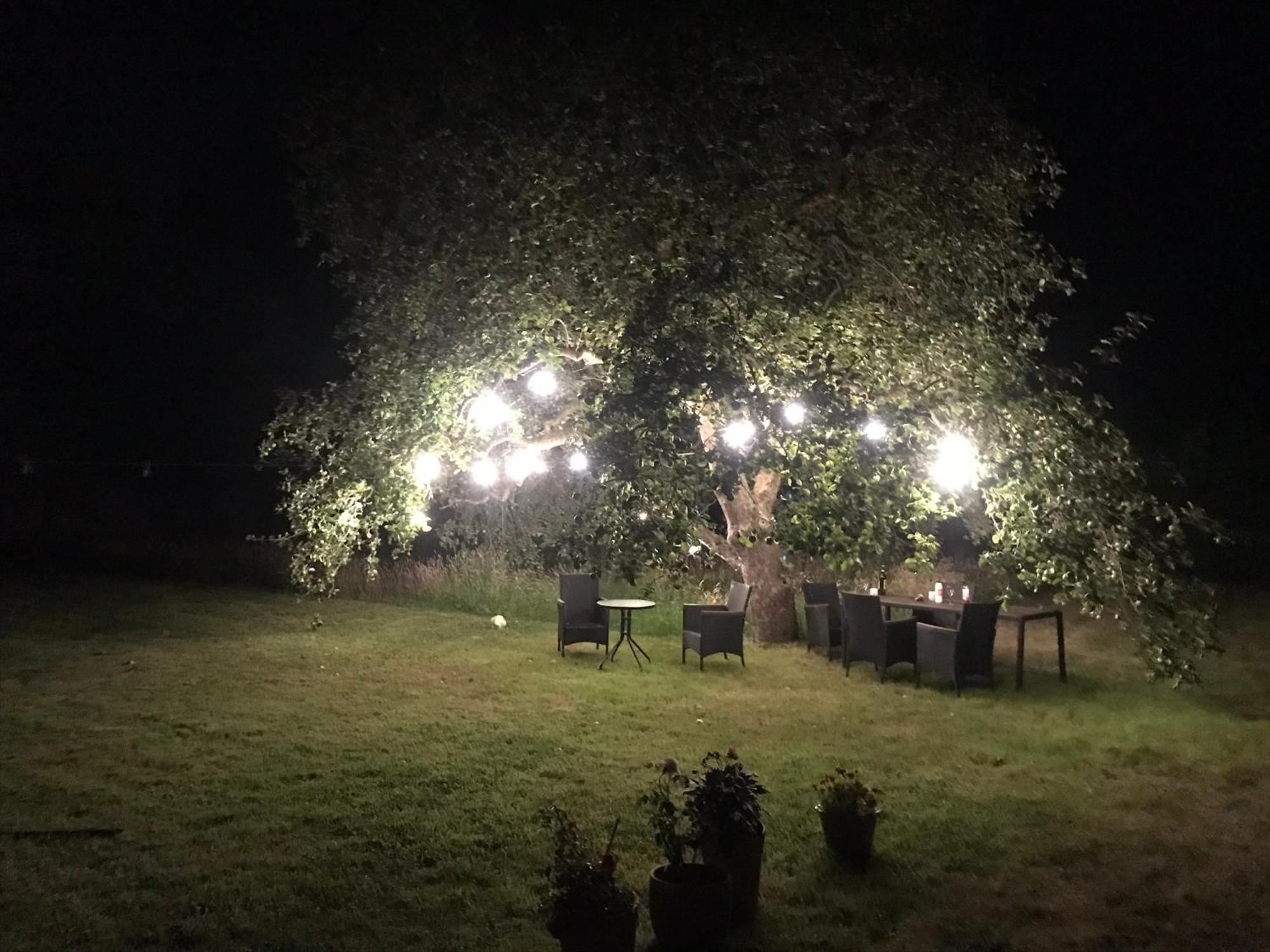 Redbrook Farm Bnb - Gateway To The New Forest 福丁布里奇 外观 照片