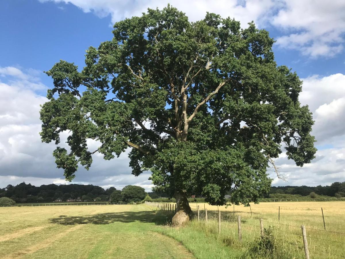 Redbrook Farm Bnb - Gateway To The New Forest 福丁布里奇 外观 照片