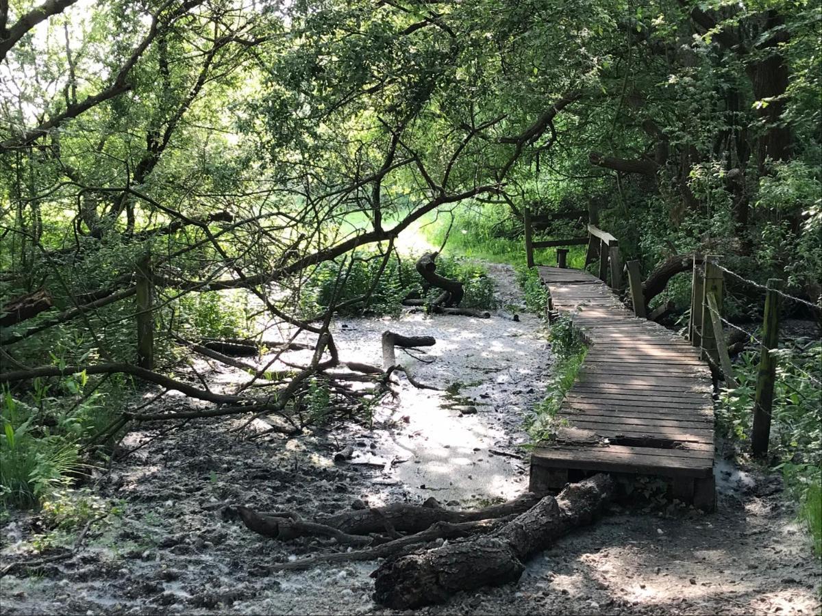 Redbrook Farm Bnb - Gateway To The New Forest 福丁布里奇 外观 照片