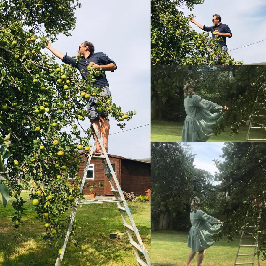 Redbrook Farm Bnb - Gateway To The New Forest 福丁布里奇 外观 照片