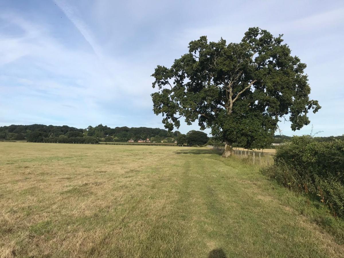 Redbrook Farm Bnb - Gateway To The New Forest 福丁布里奇 外观 照片