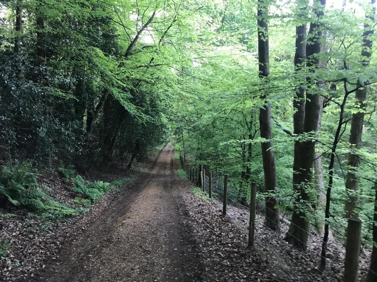 Redbrook Farm Bnb - Gateway To The New Forest 福丁布里奇 外观 照片