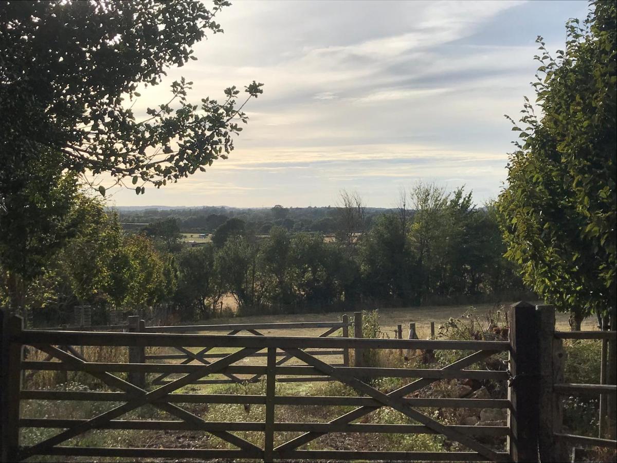 Redbrook Farm Bnb - Gateway To The New Forest 福丁布里奇 外观 照片