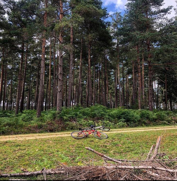 Redbrook Farm Bnb - Gateway To The New Forest 福丁布里奇 外观 照片
